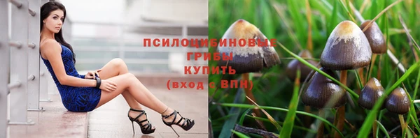 гашиш Карпинск
