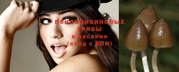 круглые Карталы