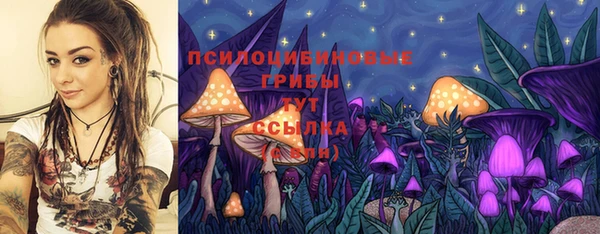 круглые Карталы