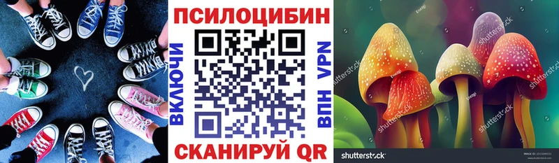 Купить  Новый Оскол  Псилоцибиновые грибы ЛСД 